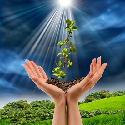 sprout-growing-in-hands