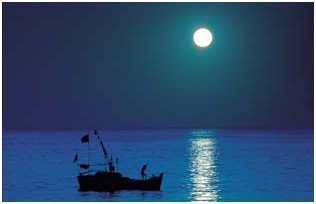 Boat on Moonlit night